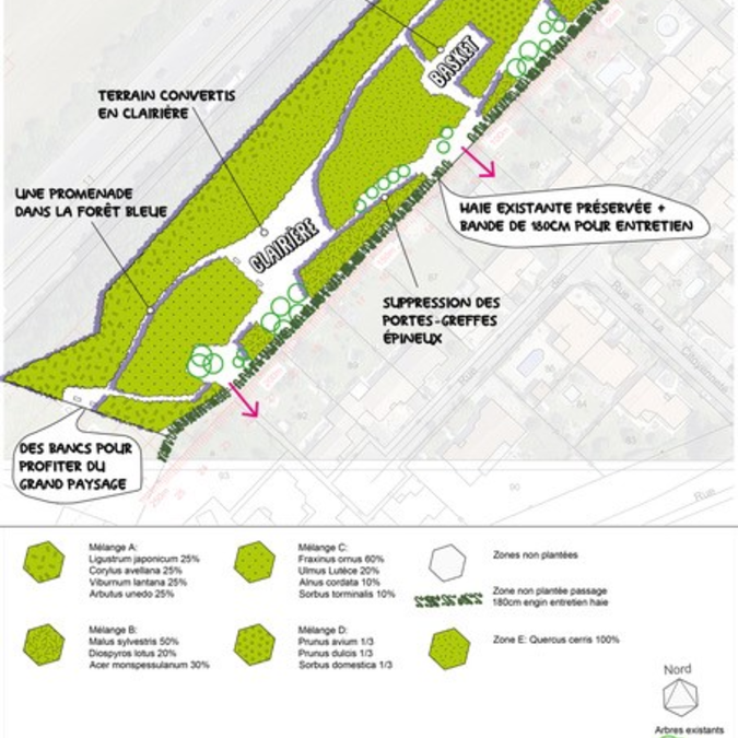 Plan Forêt Bleue